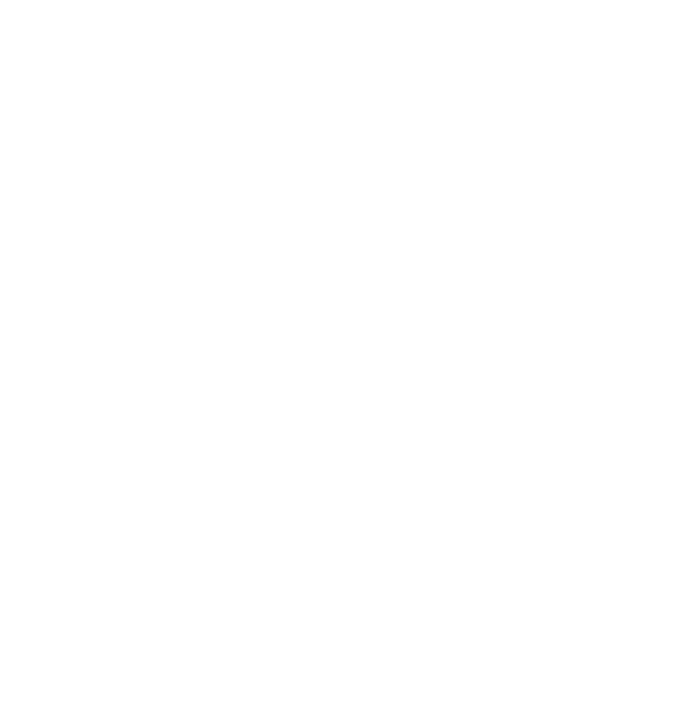 Mitsubishi Motors